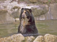 149 BIO PARC DE DOUE LA FONTAINE 5- 2016_000014